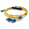 C-MPO-4LC10M9SMF